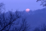 Full Moon Setting, Percy Warner State Park, Tenn