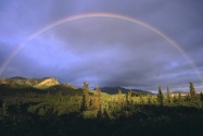 Full Rainbow Fall, Denali National Park, Alaska