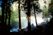 Misty Rainbow, Yosemite National Park, Californi