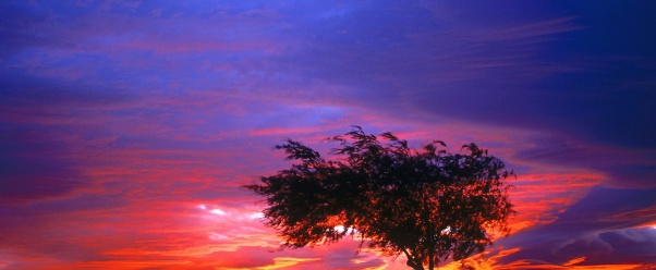 Sunrise, Palmdale, California      ID 3 (click to view)