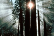 The Rays of Yosemite Valley, Yosemite National P