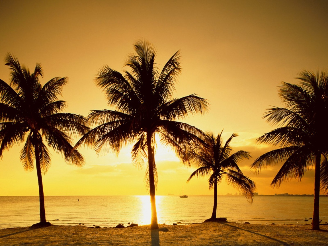 Key Biscayne, sunset photo   