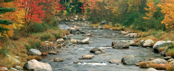 Autumn Colors, White Mountains, New Hampshire (click to view)