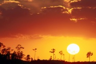Setting Sun over the Swampland, Everglades Natio