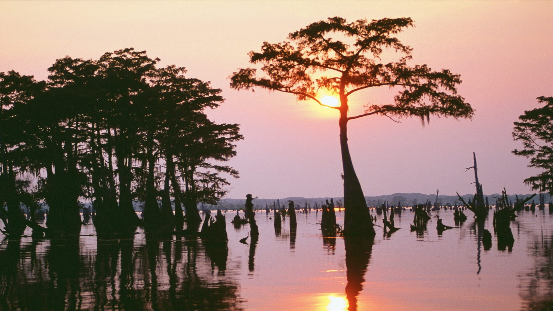 Atchafalaya Bayou, Louisiana ID 31 - 1920x1080 - 656285