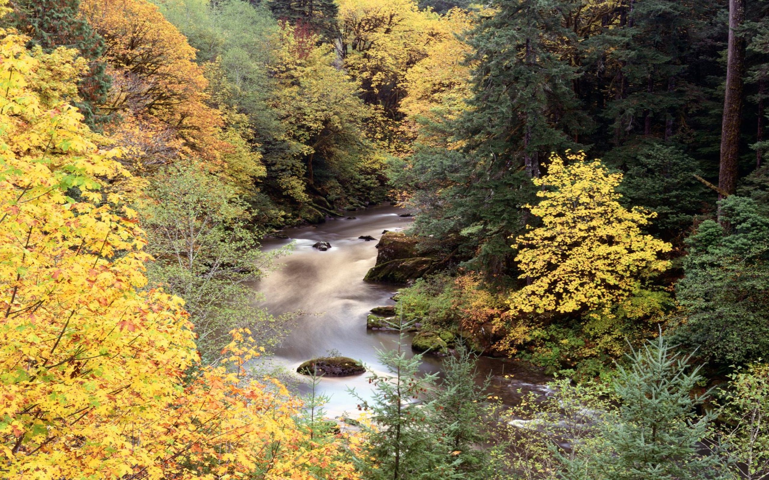 Autumn Color, Coquille River, Oregon   