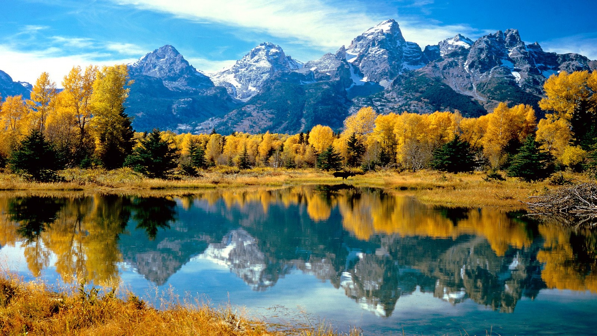 Autumn Grandeur, Grand Teton National Park, Wyom - 1920x1080 - 966675