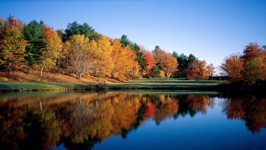 Autumn Reflections, Vermont      ID 124