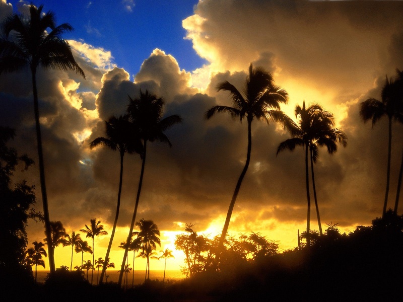 Kapa'a Sunrise, Kauai, Hawaii      ID 4