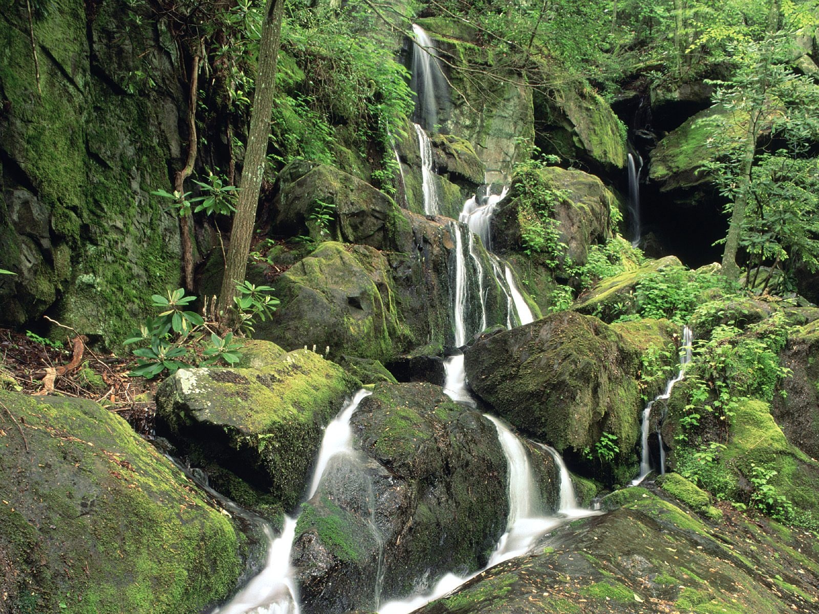 Roaring Fork, Smoky Mountains, Tennessee   1600x