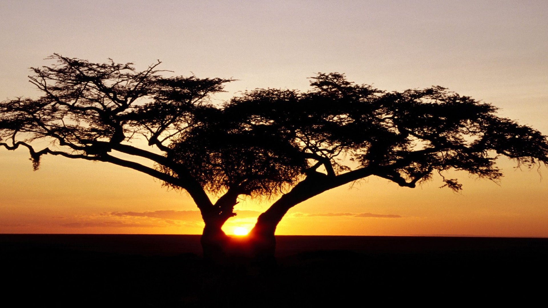 Safari Sunrise, Africa ID 17989 - 1920x1080 - 567834