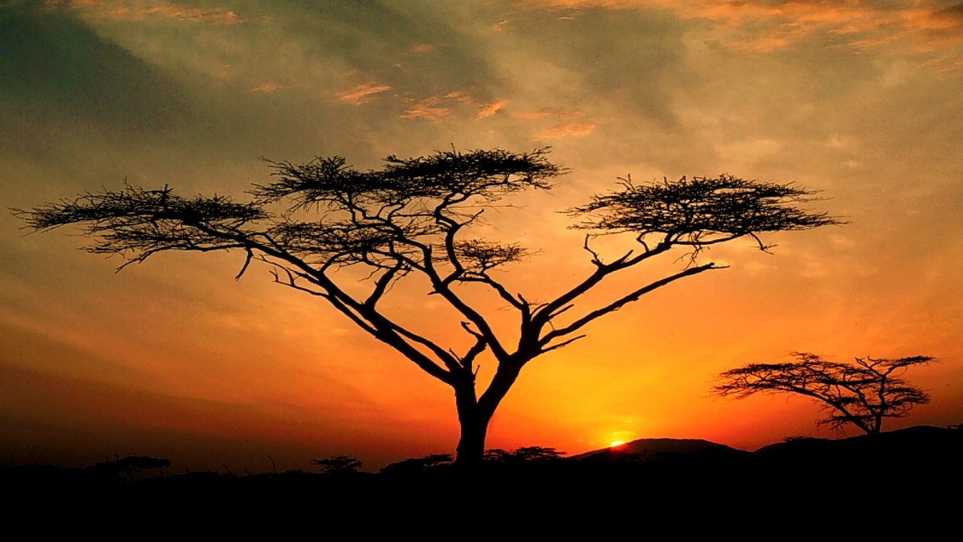 Samburu Hills Sunrise, Samburu Game Reservation,