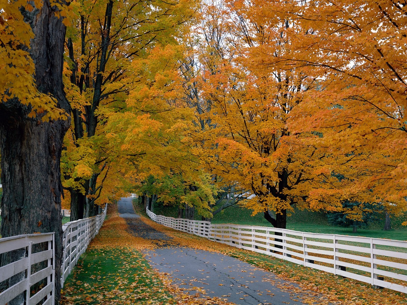 Scenic Backroad, New Hampshire      ID