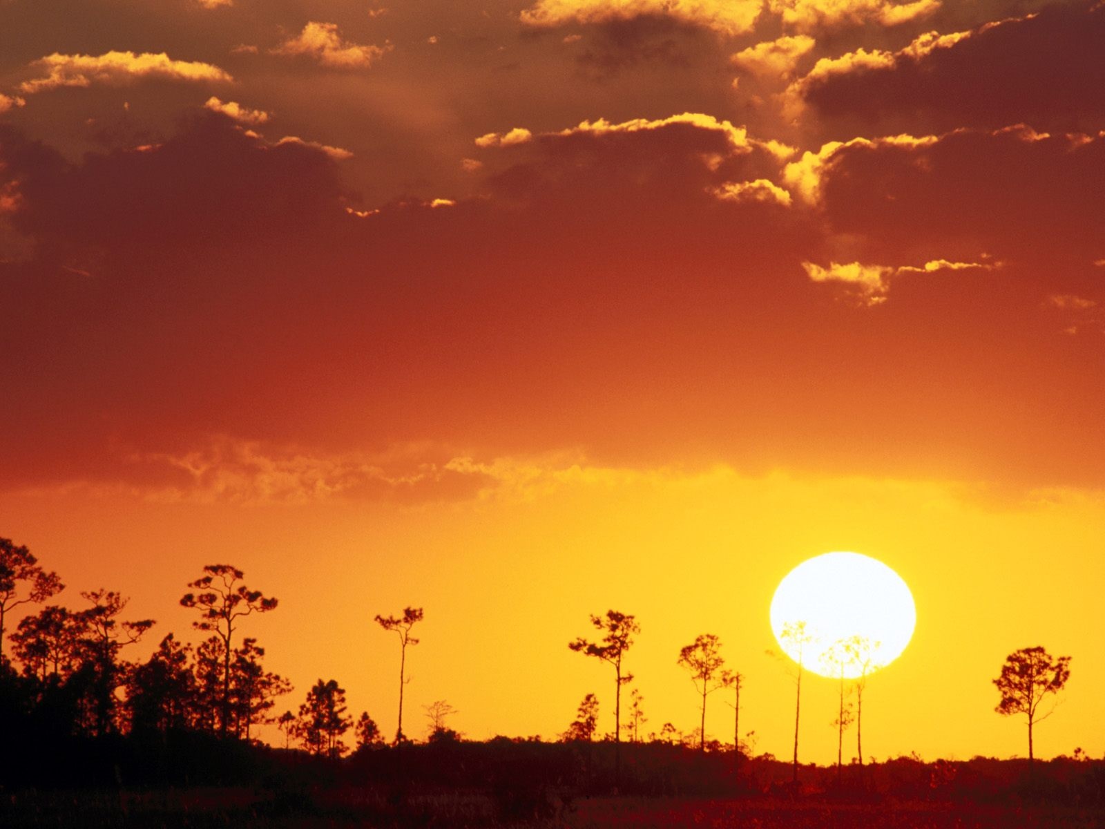 Sun sets. Большое солнце. Солнце на горизонте. Закат большое солнце. Закат с большим солнцем.