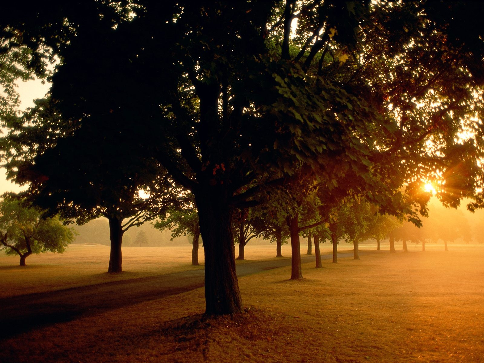 Sunrise in the Park   