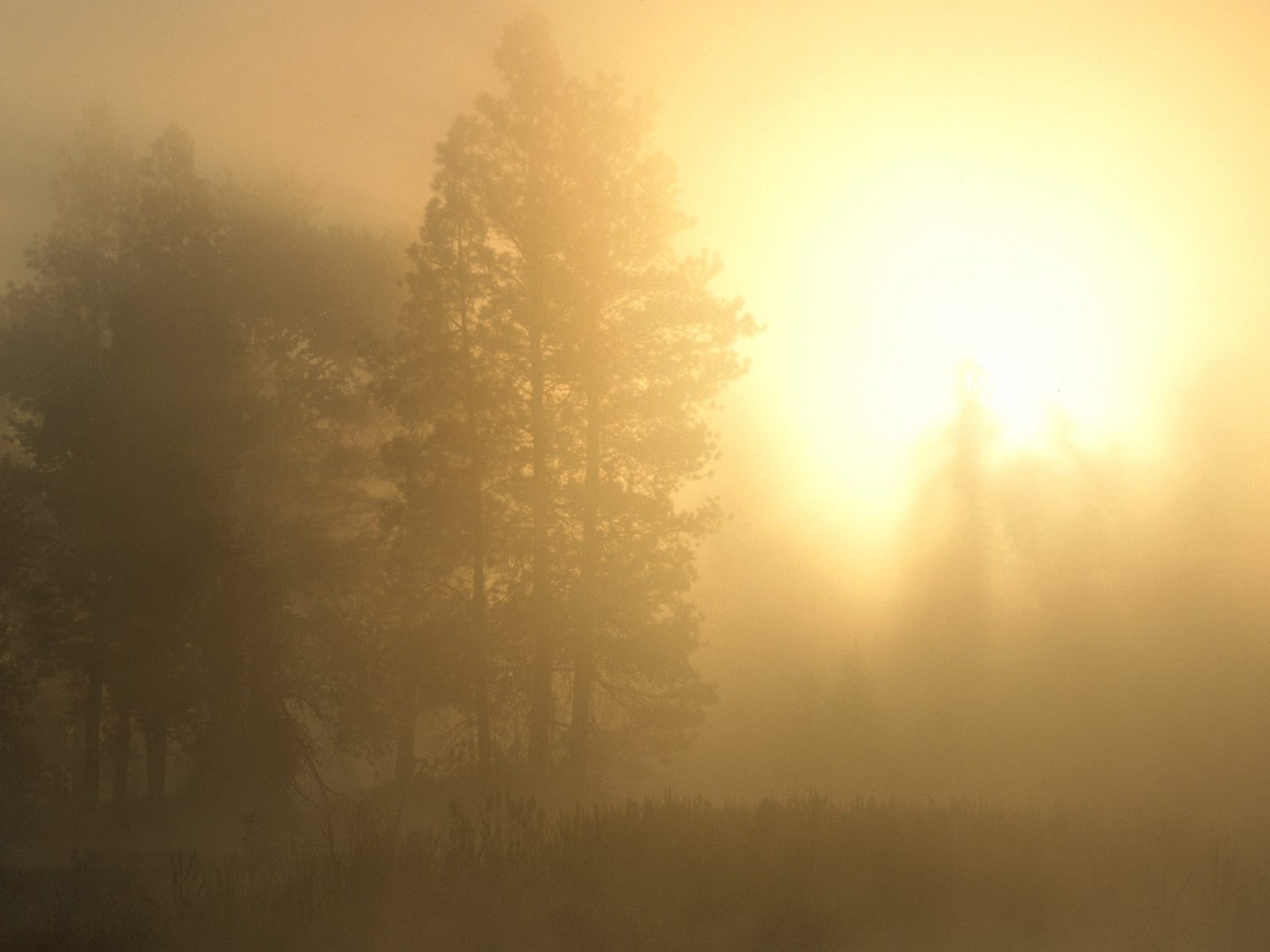 Sunrise through the Sapphire Mountains, Montana