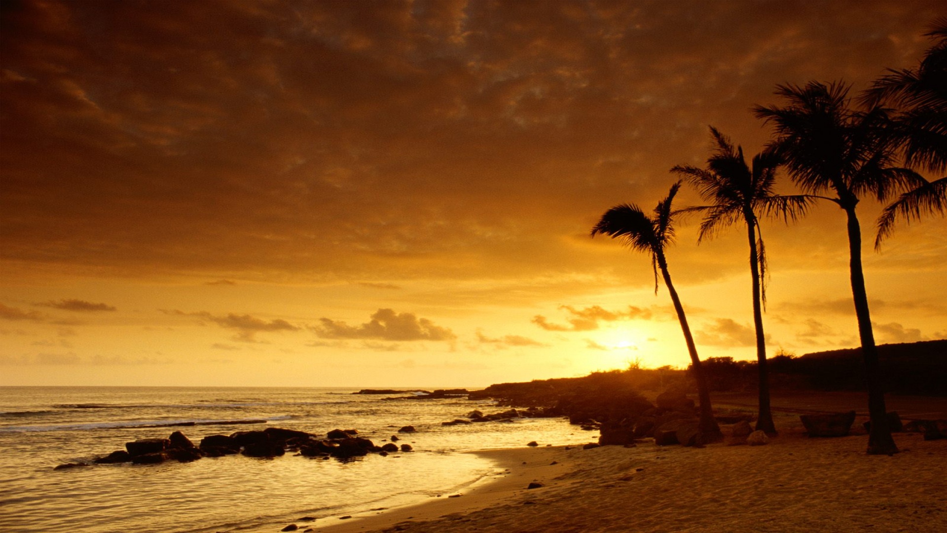 Sunset, Kauai, Hawaii      ID 15768   P