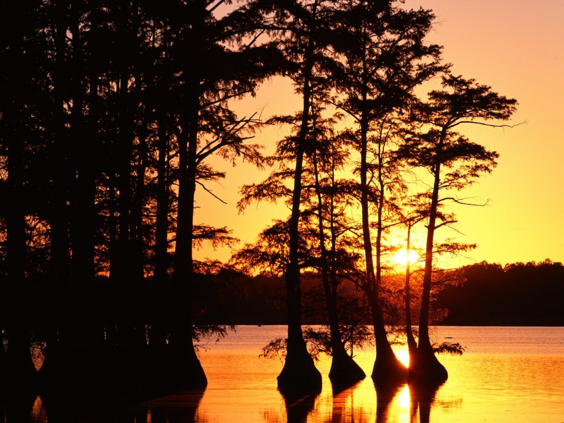 Sunset on Reelfoot Lake, Tennessee   