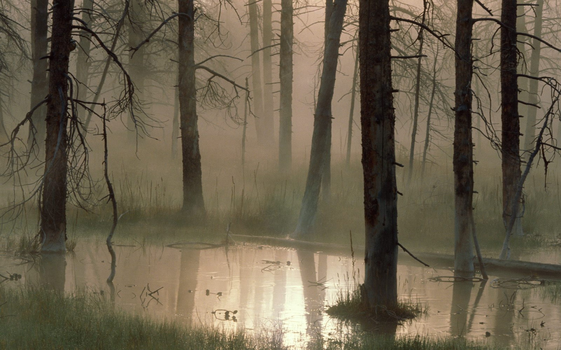 Swamped, Montana   