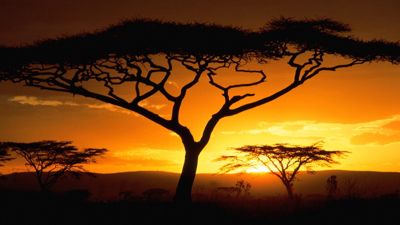 Tanzanian Sunset      ID 36728