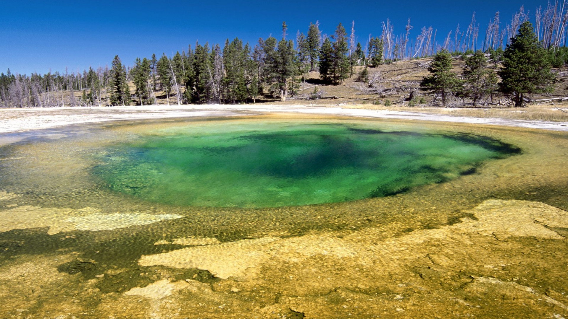 Upper Geyser Basin, Yellowstone National Park, W