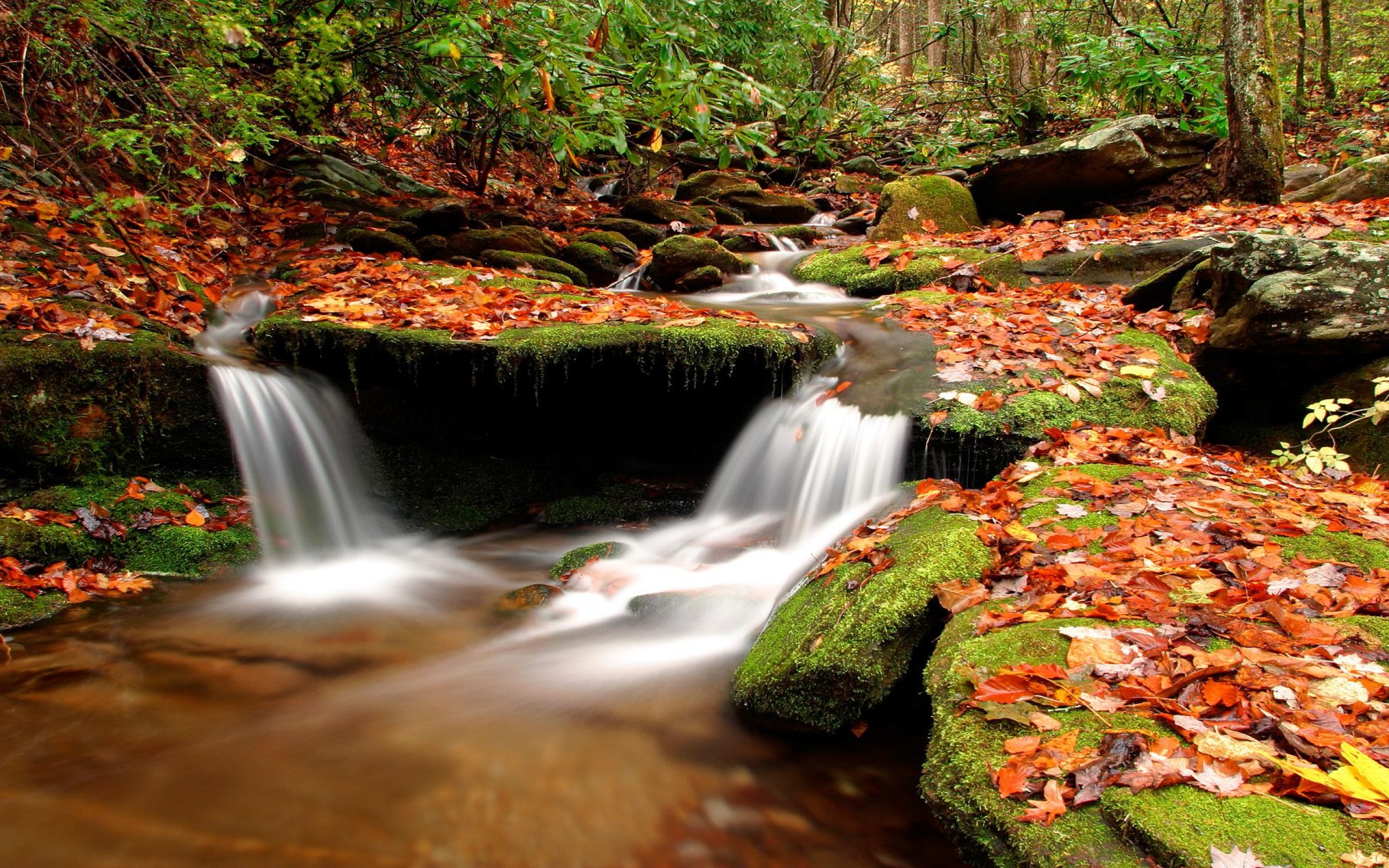 Wesser Creek in Autumn, Nantahala National Fores