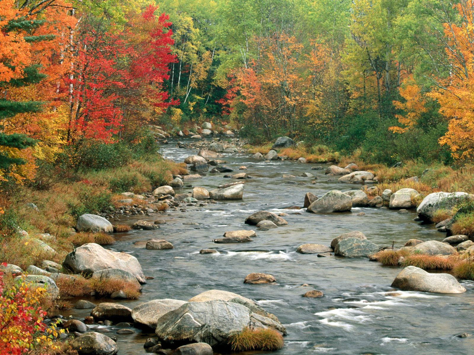 Autumn Colors, White Mountains, New Hampshire