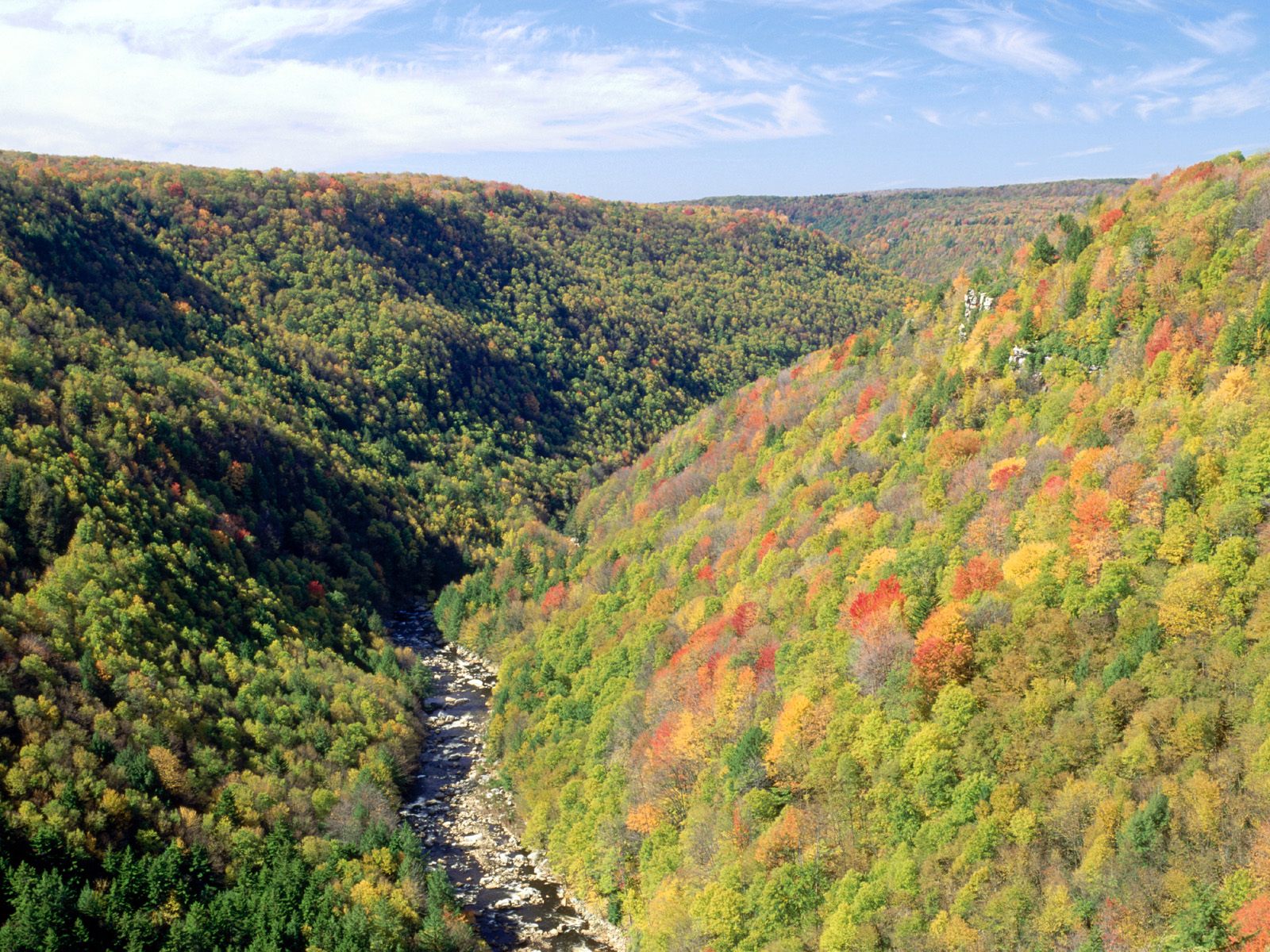 Blackwater River From Pendleton Overlook, West V