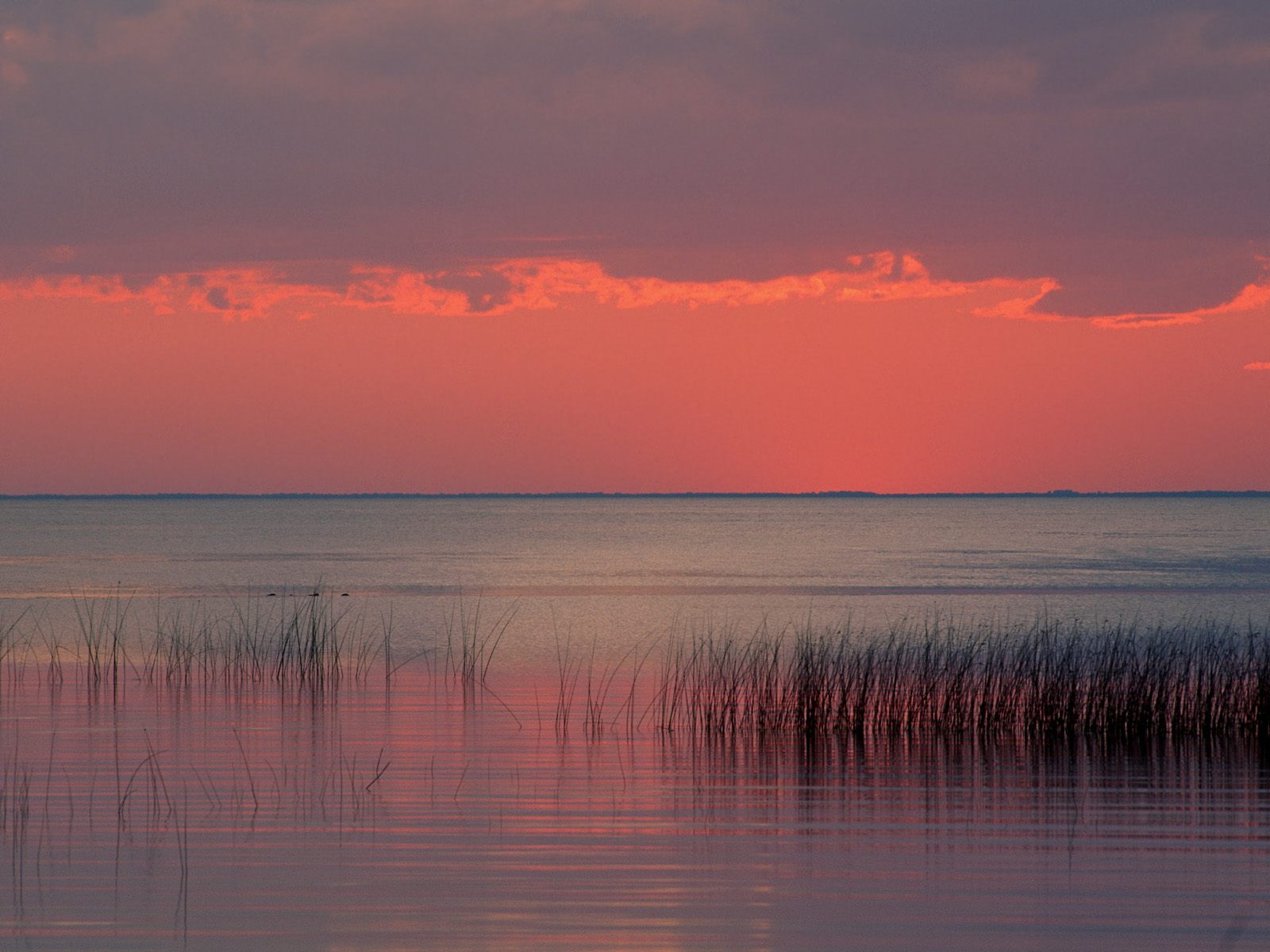 Dreamscape, Florida