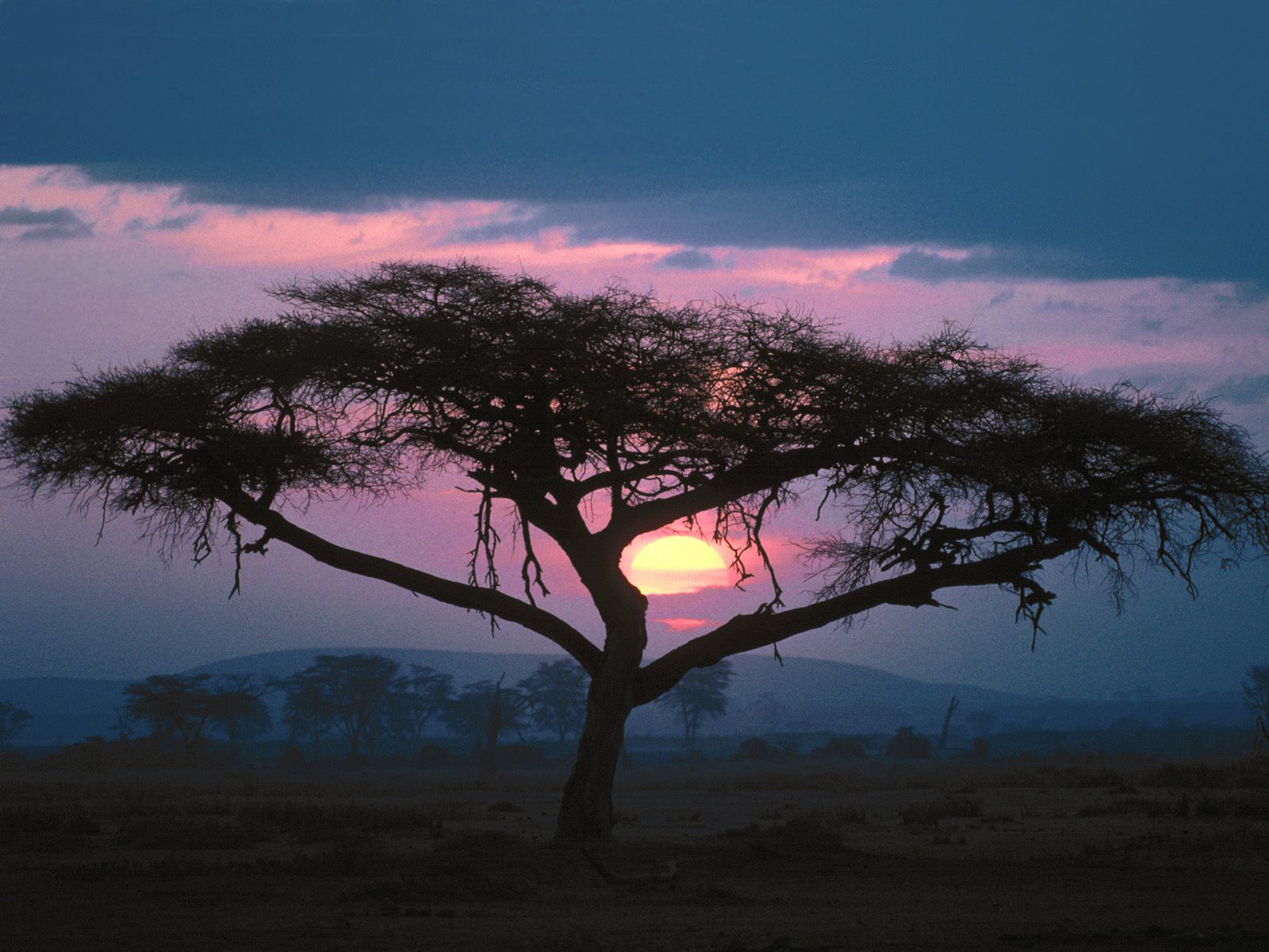 East African Sunset