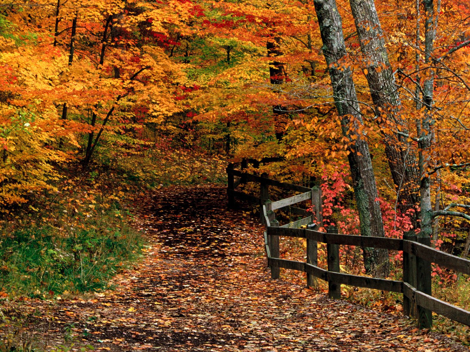 McCormick Creek State Park, Indiana   