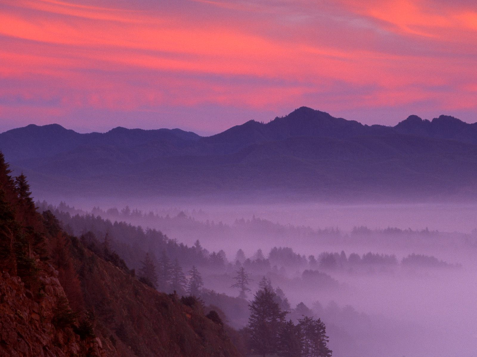 Nehalem River Valley at Sunset, Tillamook County