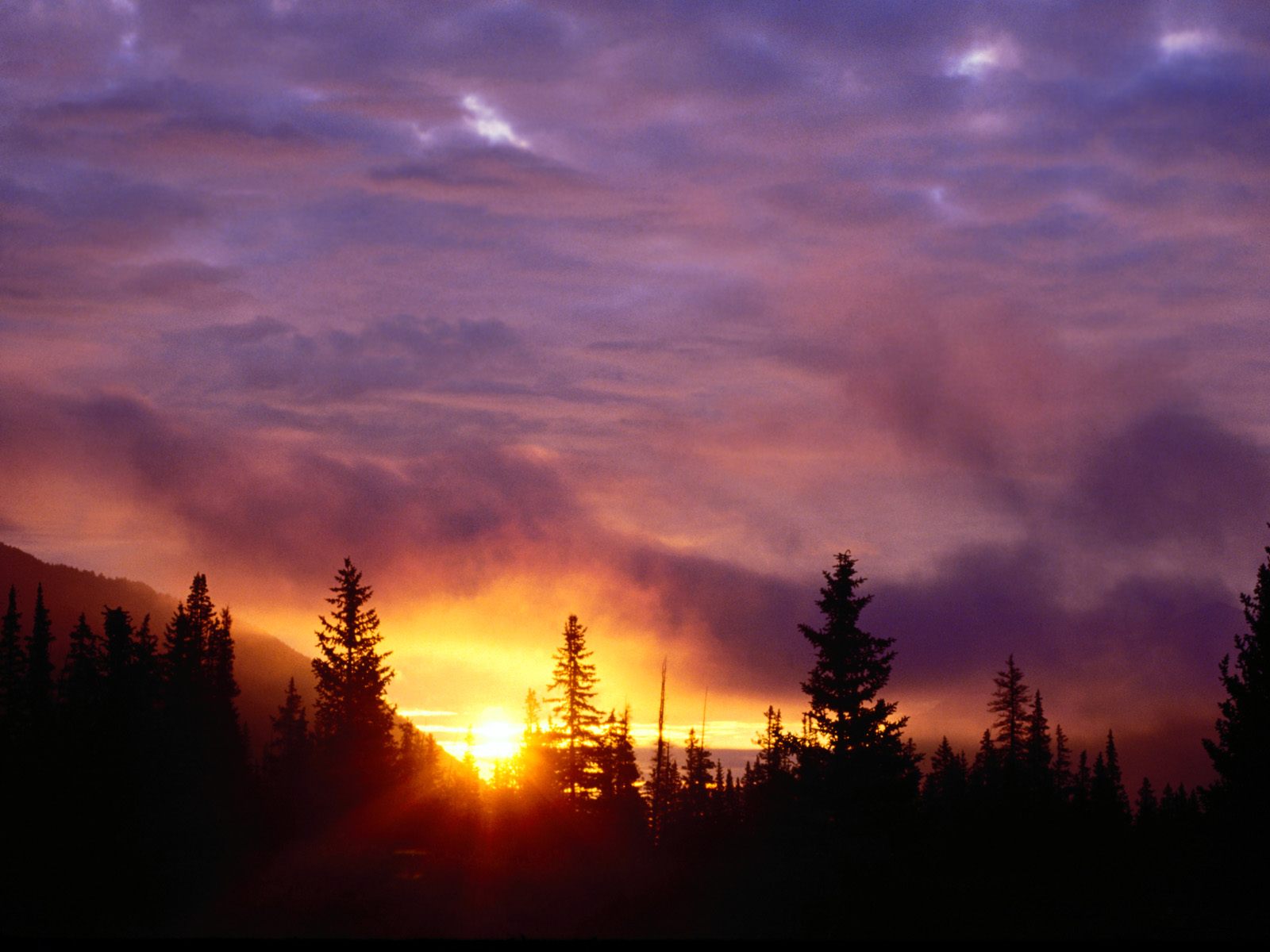 Part The Skies, San Isabel National Forest, Colo